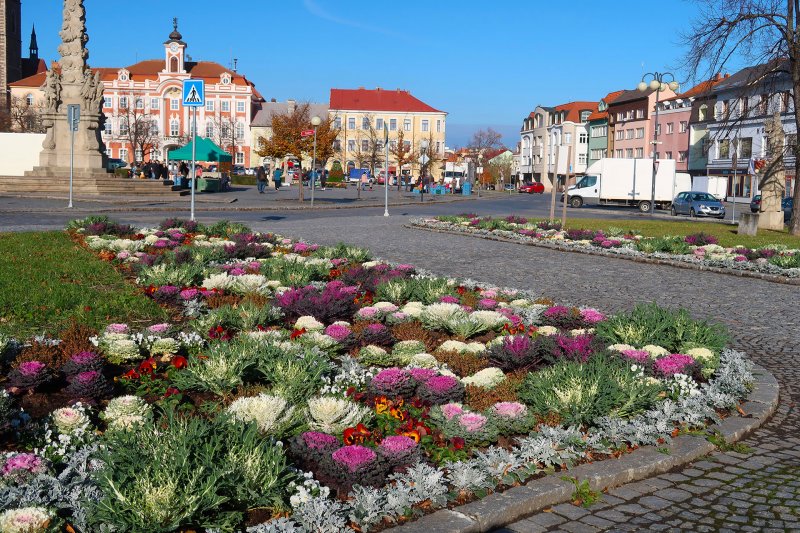 Autumn Flower Beds in Caslav